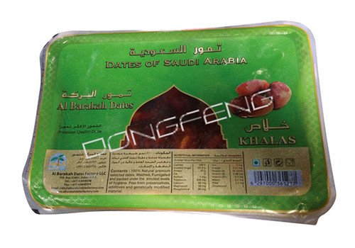 Vacuum Packer (DF-320) 