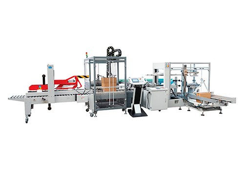 YL-600 Automatic Case Packer Machine From Top Load Product