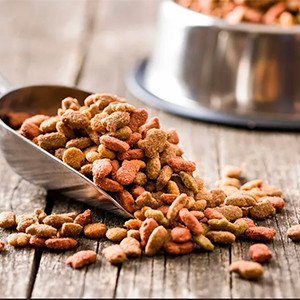 В России началась обязательная маркировка сухих кормов и ветпрепаратов