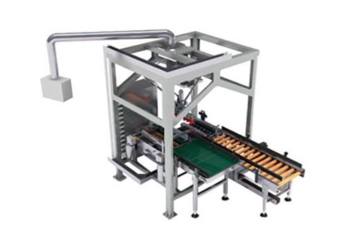 RGZXC Case Packing Line