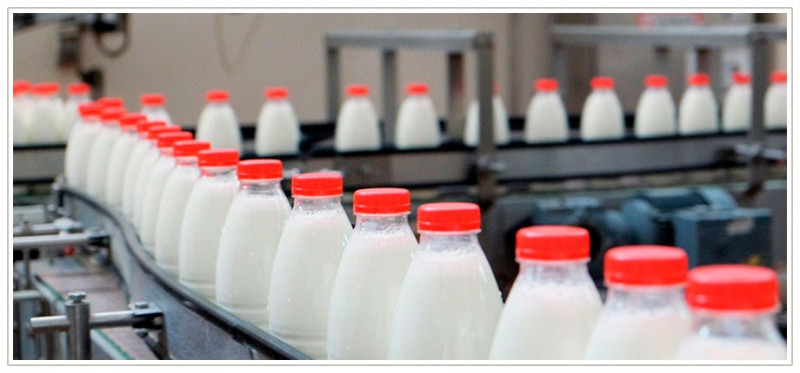 В Саратовской области выросло производство молочной продукции 