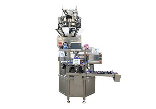 CXM-GDJ Auto Premade Bag Packaging Machine