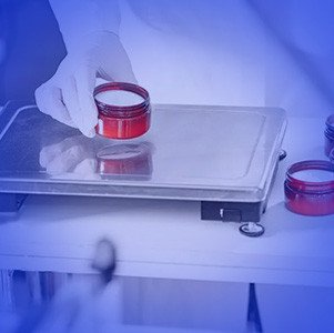 In Kuban, they are creating a digital platform for cosmetic production.