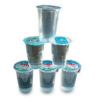 Automatic Filling and Sealing Machine SP-2201A