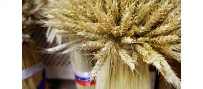 В 2019 году освоение госпрограммы развития АПК составило 97,9%