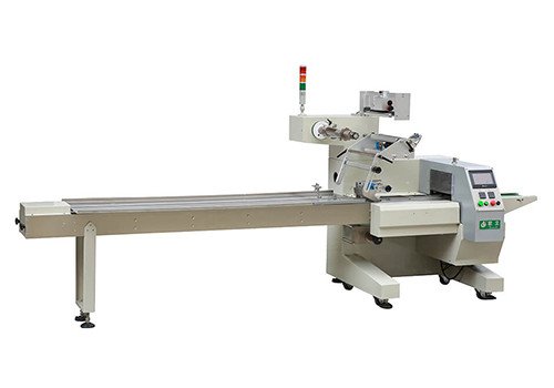 ZS-600 Servo Packing Machine