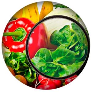 В ЕАЭС стремятся обеспечить безопасность пищевых продуктов 