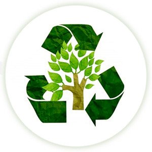 Биоразлагаемую упаковку из крахмала поможет производить ультразвук