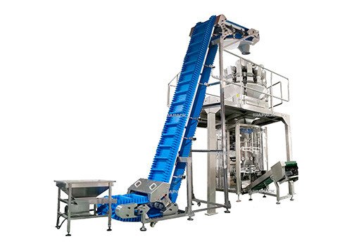 ZL14-2.5L Automatic Frozen Food Weighing Filling Packaging Machine