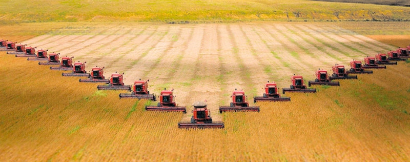 Развитие систем сертификации откроет новые возможности для экспорта российской продукции АПК