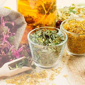 В Тамбовской области открыли комбинат по переработке лекарственных трав