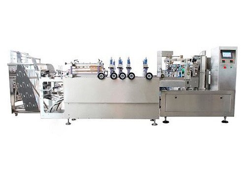 RD-300SZ Stand Up Pouch Nuts Packing Machine