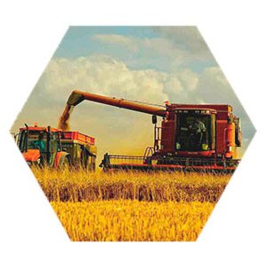 Развитие систем сертификации откроет новые возможности для экспорта российской продукции АПК