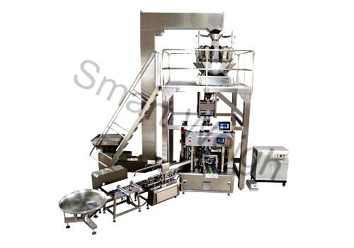 Smart Weigh SW-PL6 Premade Bag Packing System