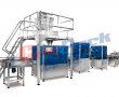 Granule Product Automatic Weighing Filling Line