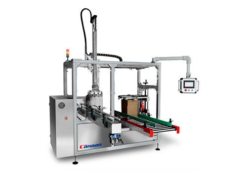 Z500 Model Automatic Grabbing Type Case Packer