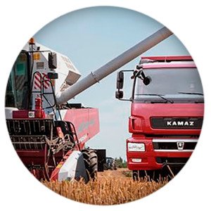 Михаил Мишустин: спрос на российские продукты за рубежом растет