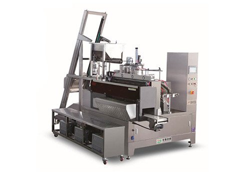 GD8-ZK100 Automatic Rotary Packing Machine (vacuum)