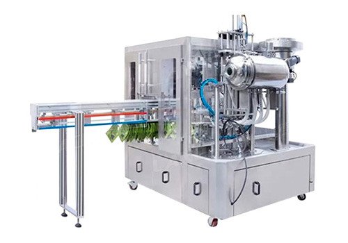 LDS-2S/LDS-4S/LDS-6S Automatic Mayonnaise Vinegar Fruit Juice Ketchup Spout Pouch Filling Capping Machine