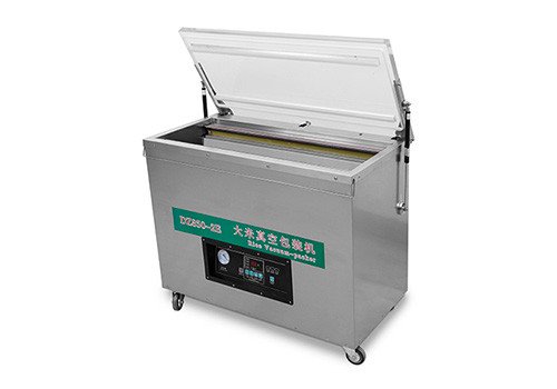 DZ-850/2E Rice Beans Tea Vacuum Packing Sealer 