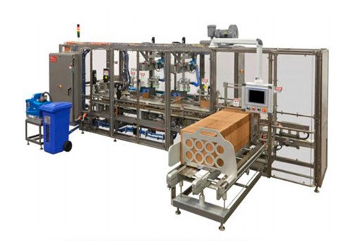 Automatic Case Packer Machine For Cosmetics / Hair Care / Skin Care Products