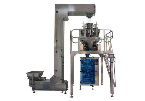 Frozen Food Packaging Machine CP-520B 